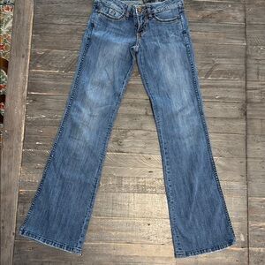 Buffalo | Y2K Farrah-X | Lowrise Flare | Size 25